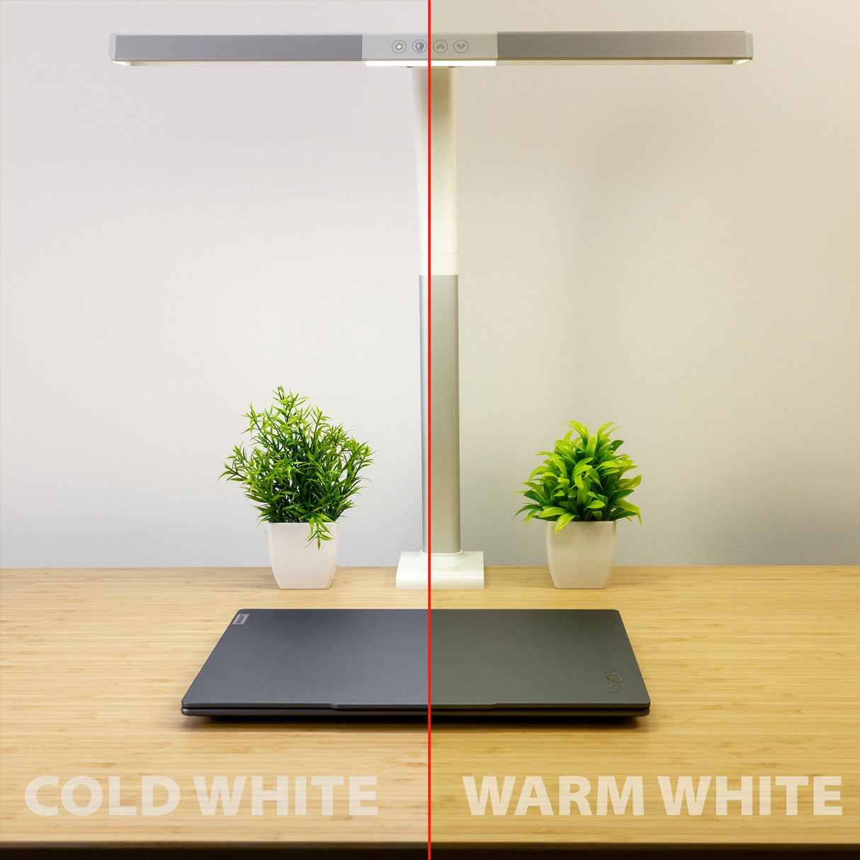 LTL00310E LED Schreibtischlampe mit Klemmfuß 50 cm weiß/silber - FeinTech
